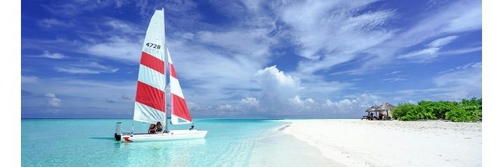 Το ελιξίριον του γέλιου 🐠's banner
