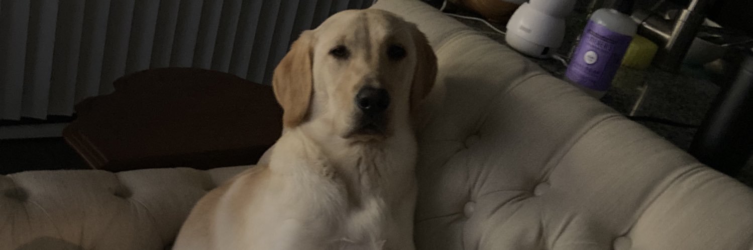 Tedoubleft's profile banner image