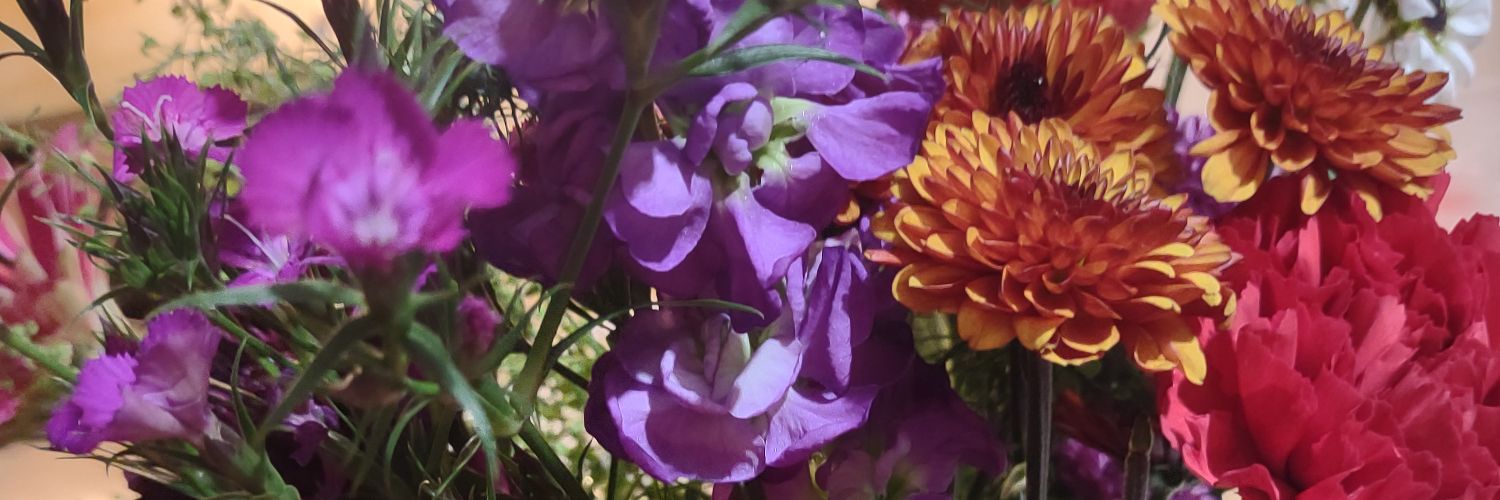 🌹LillianChristine🌹 banner