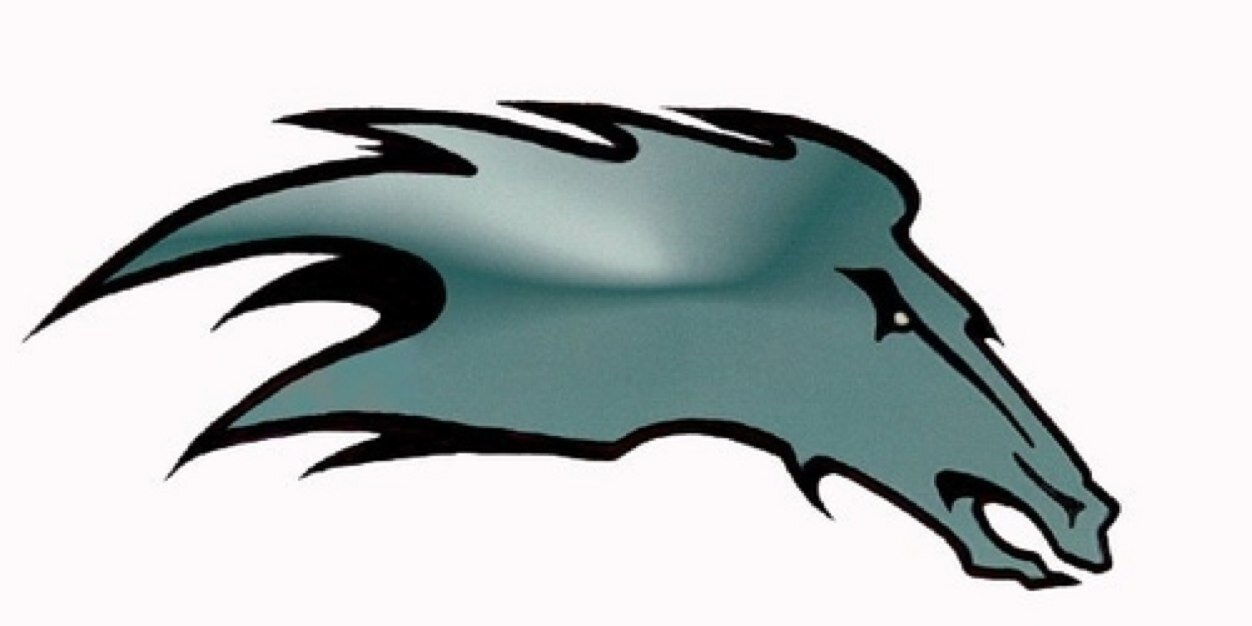 PMHS_FOOTBALL's profile banner image