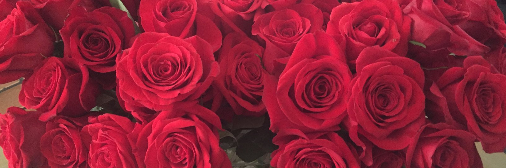 Jacqui Banaszynski banner