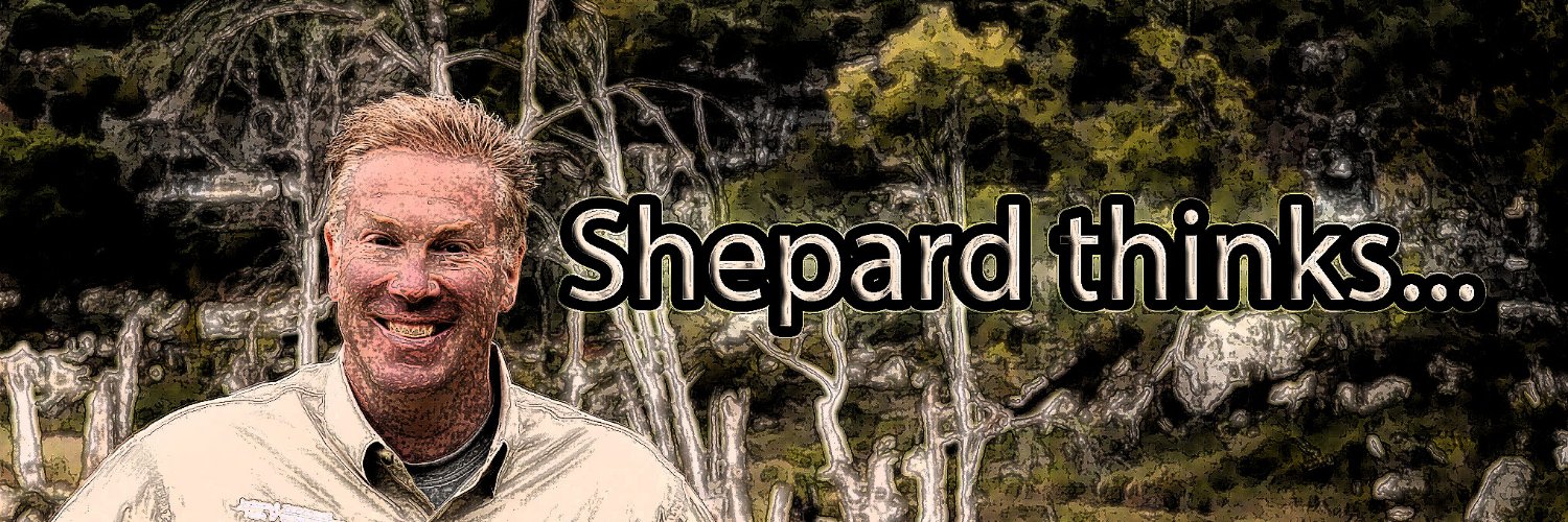 Shepard Thinks's banner