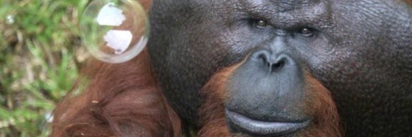 dayglowj0e Profile Banner