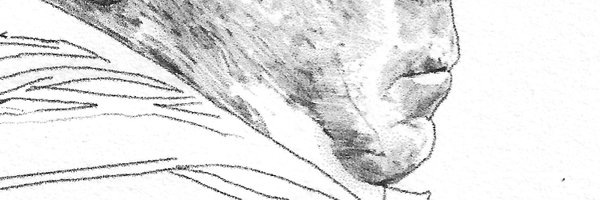 michael16501832 Profile Banner