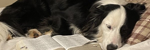 StealerStorm1 Profile Banner