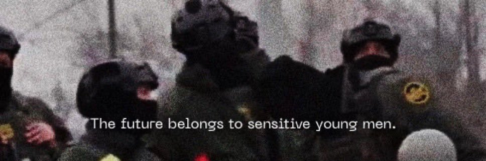 STORM (stealer of memes)🇺🇸🍊 banner