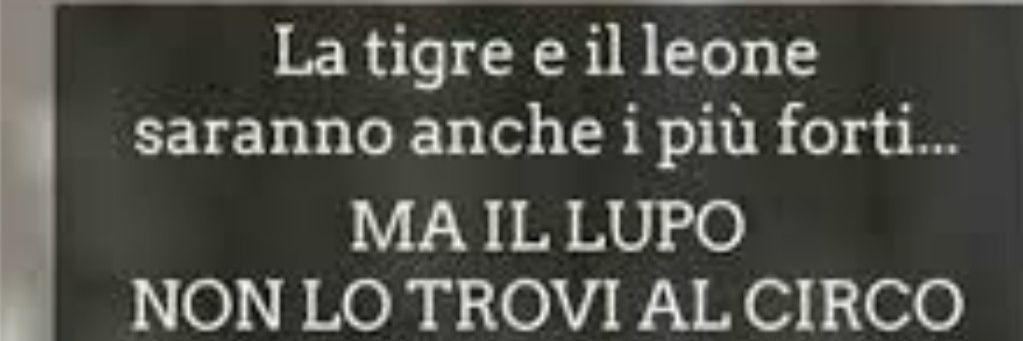 Toni 🇮🇹 banner