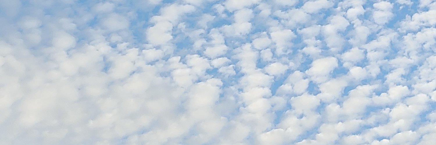 bluewistaria's profile banner image