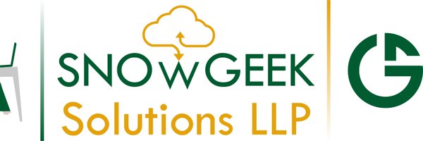 SnowGeekSoluti1 Profile Banner