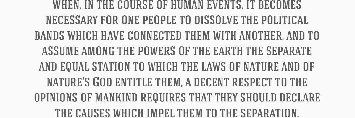 Volunteer Knight banner