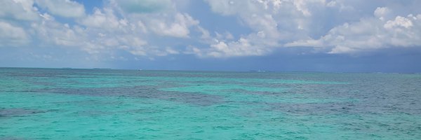 babylonqueenbee Profile Banner