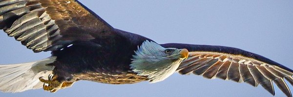 HarleyGus2003 Profile Banner