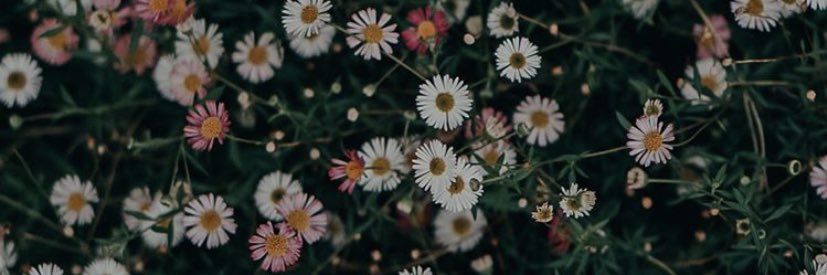 입 🍃 ابتهال banner