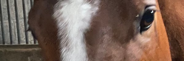 MichaelDelahu20 Profile Banner