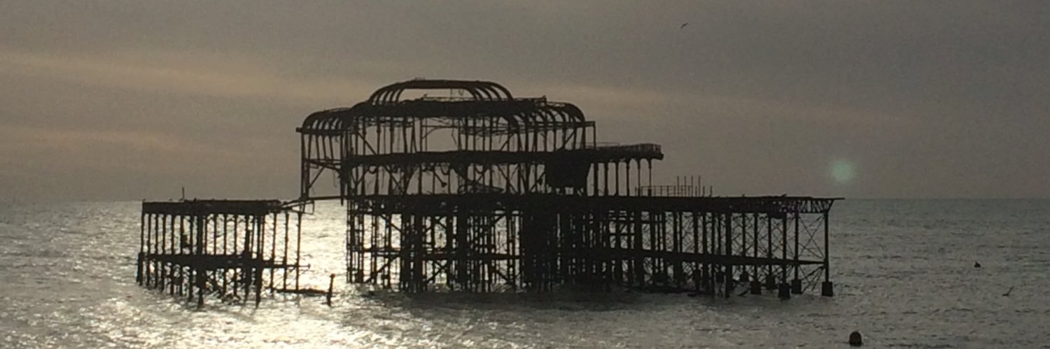 Marlize Phillips banner