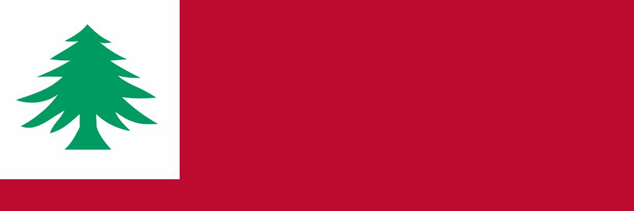Hikaru_Shidou 🌲's banner