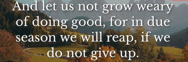 SandvenDan Profile Banner