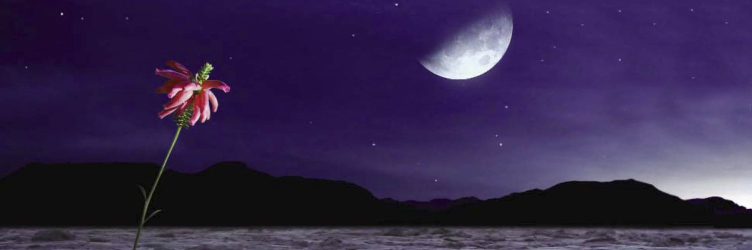 Name can't be blank. banner