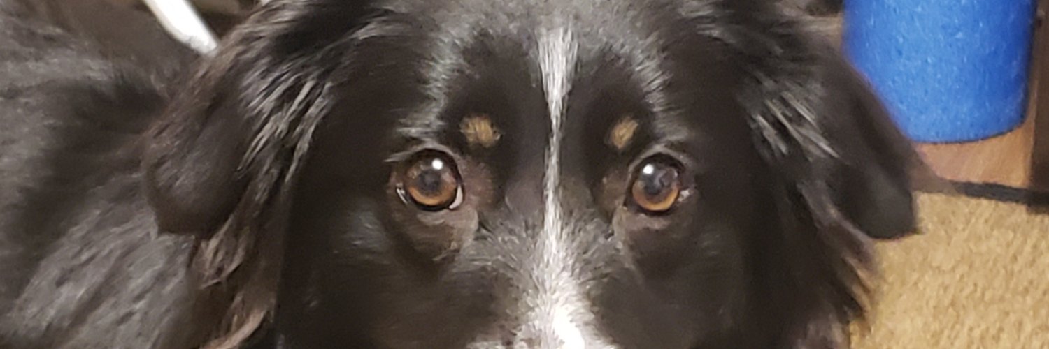 Akrysos99's profile banner image