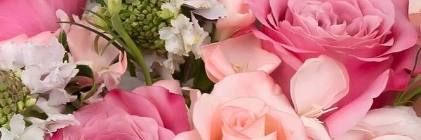 bannscott91's profile banner image