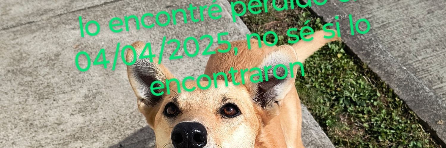 gustavleash's profile banner image