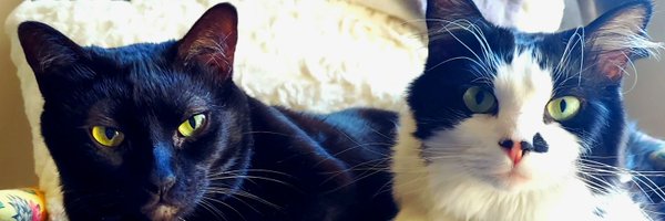 tleemaxey Profile Banner