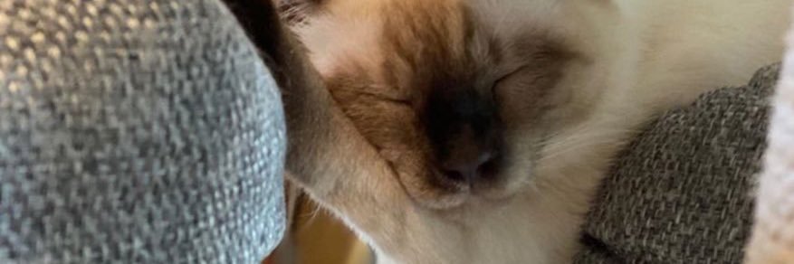 `ต่งแช่ย้ายแอคค้าบ🧧 banner
