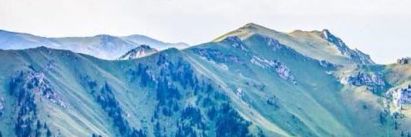 FernandoP_1981 Profile Banner