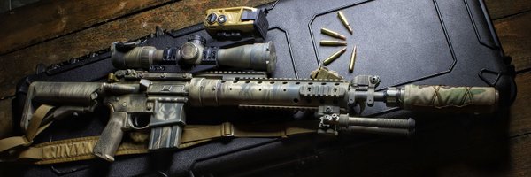 rogue_texan1 Profile Banner