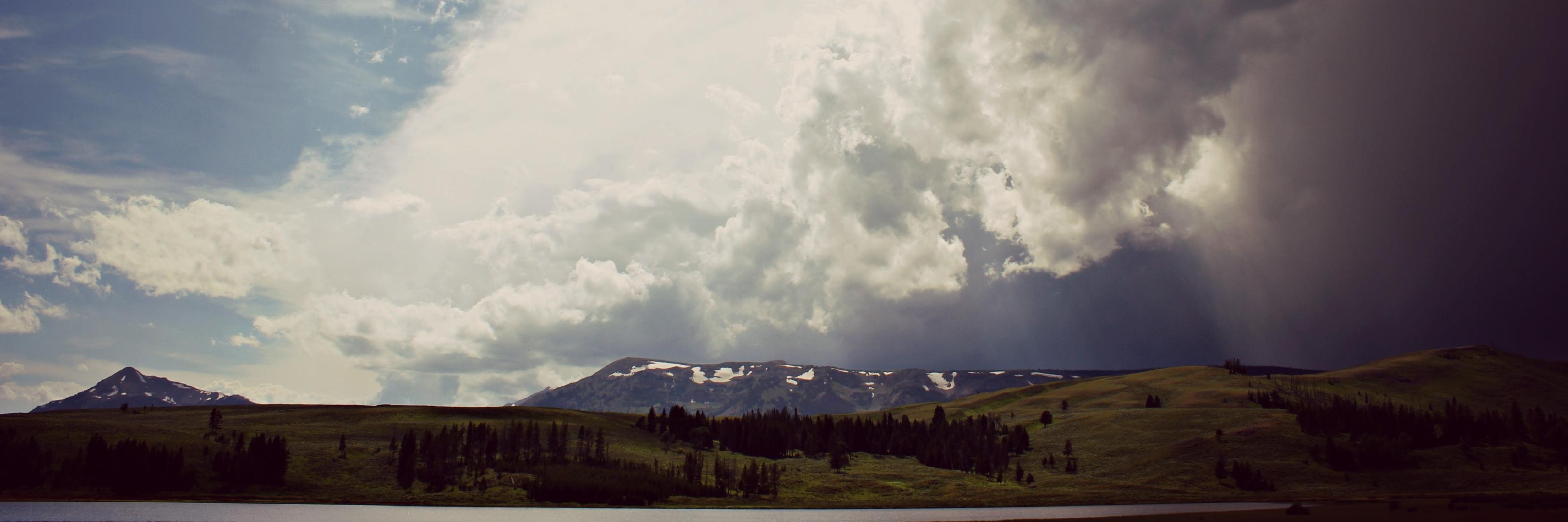 phdamy's profile banner image