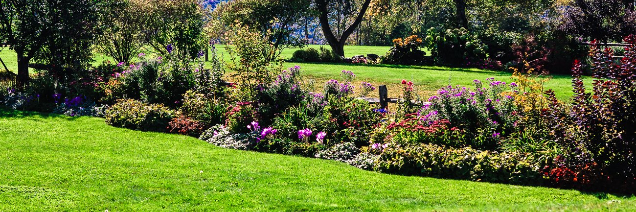 Joey802 🧛‍♂️ ♑ banner