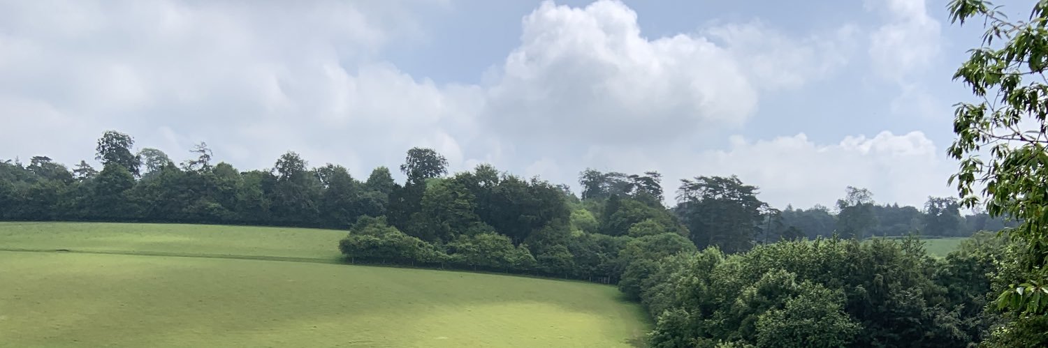 acdungca's profile banner image