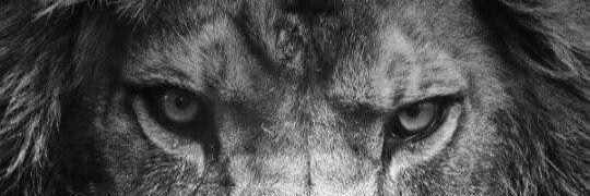 KINGPHILLIP88's profile banner image