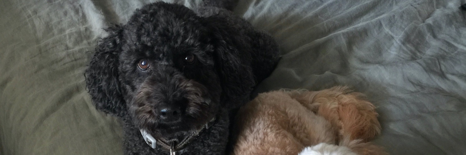 Missy Louise banner