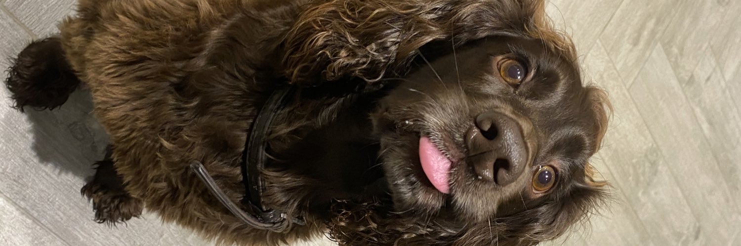 GeorgiaPennyy's profile banner image