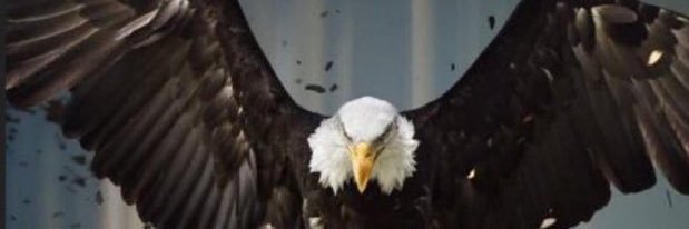 Olddognewtrixs banner