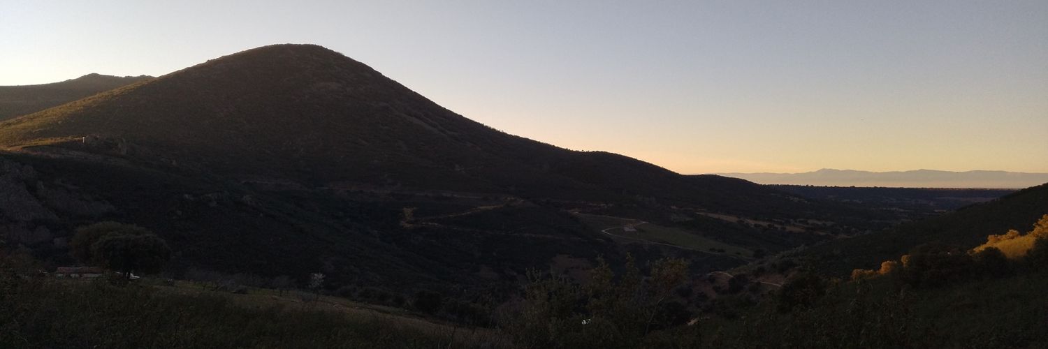 Cork Tree Investments banner