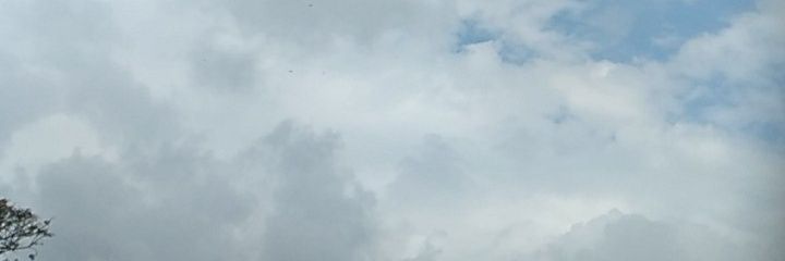 MILENA banner