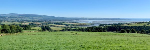 MoiraForest Profile Banner