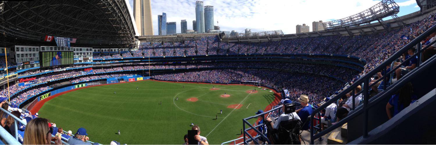 matt wilkinson banner