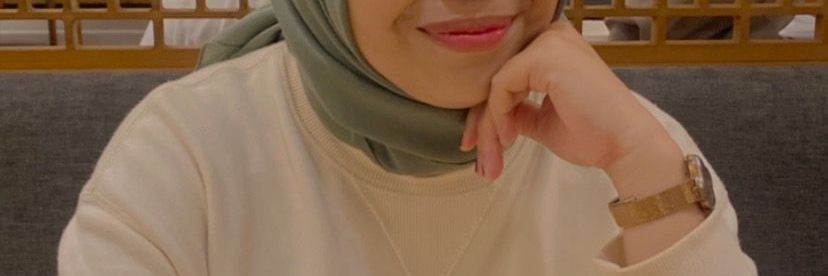 diputeer's profile banner image