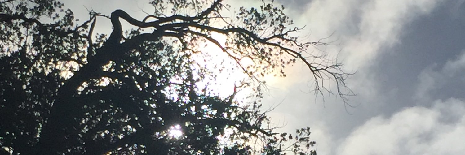 clemzr_'s profile banner image