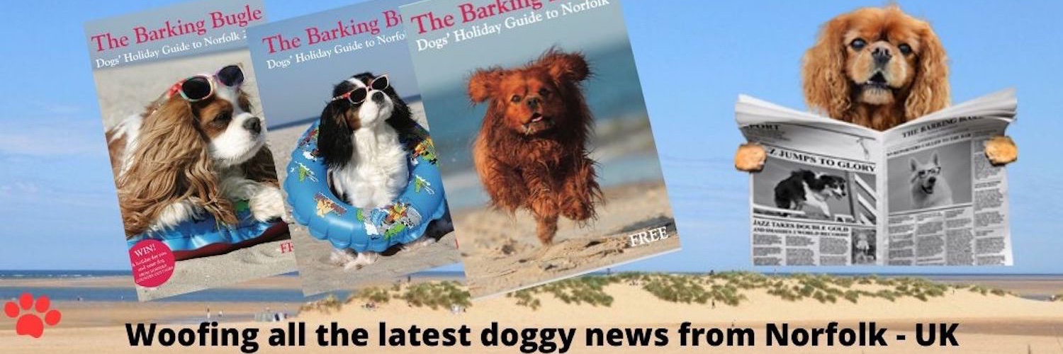 The Barking Bugle banner