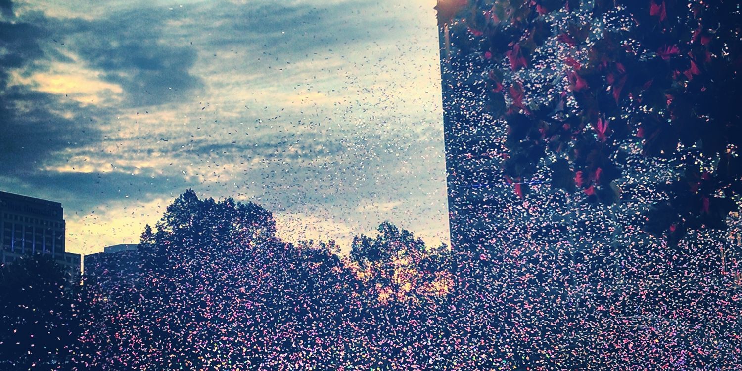 down2earth19's profile banner image