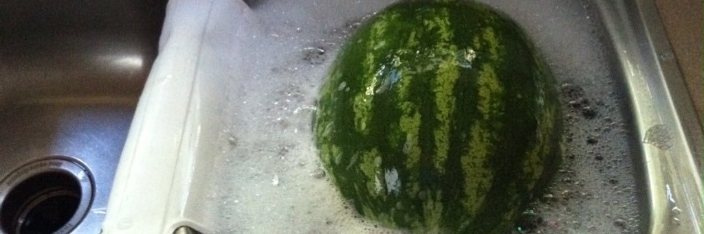 pamster's profile banner image