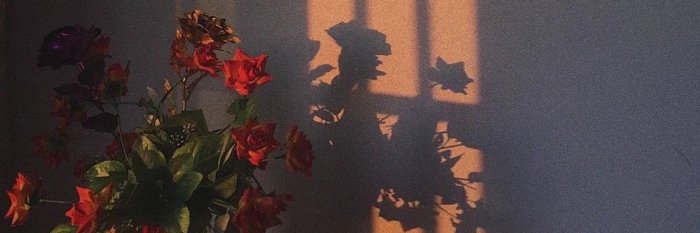zhouwanwan5's profile banner image