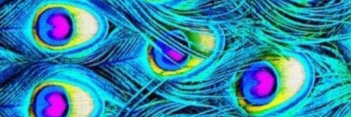 OmaarCano's profile banner image