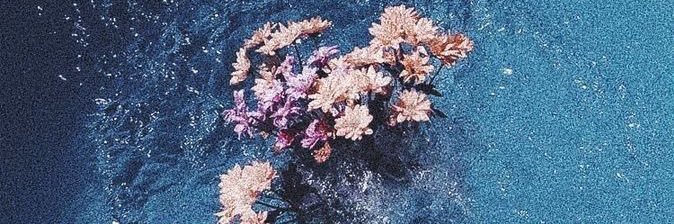 _10102001_'s profile banner image
