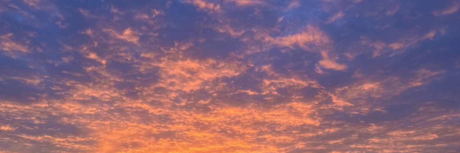 scott banner