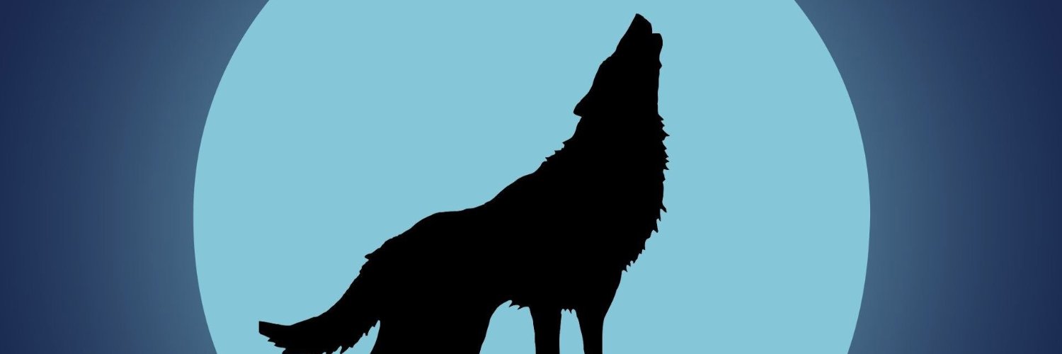 The Howling D banner